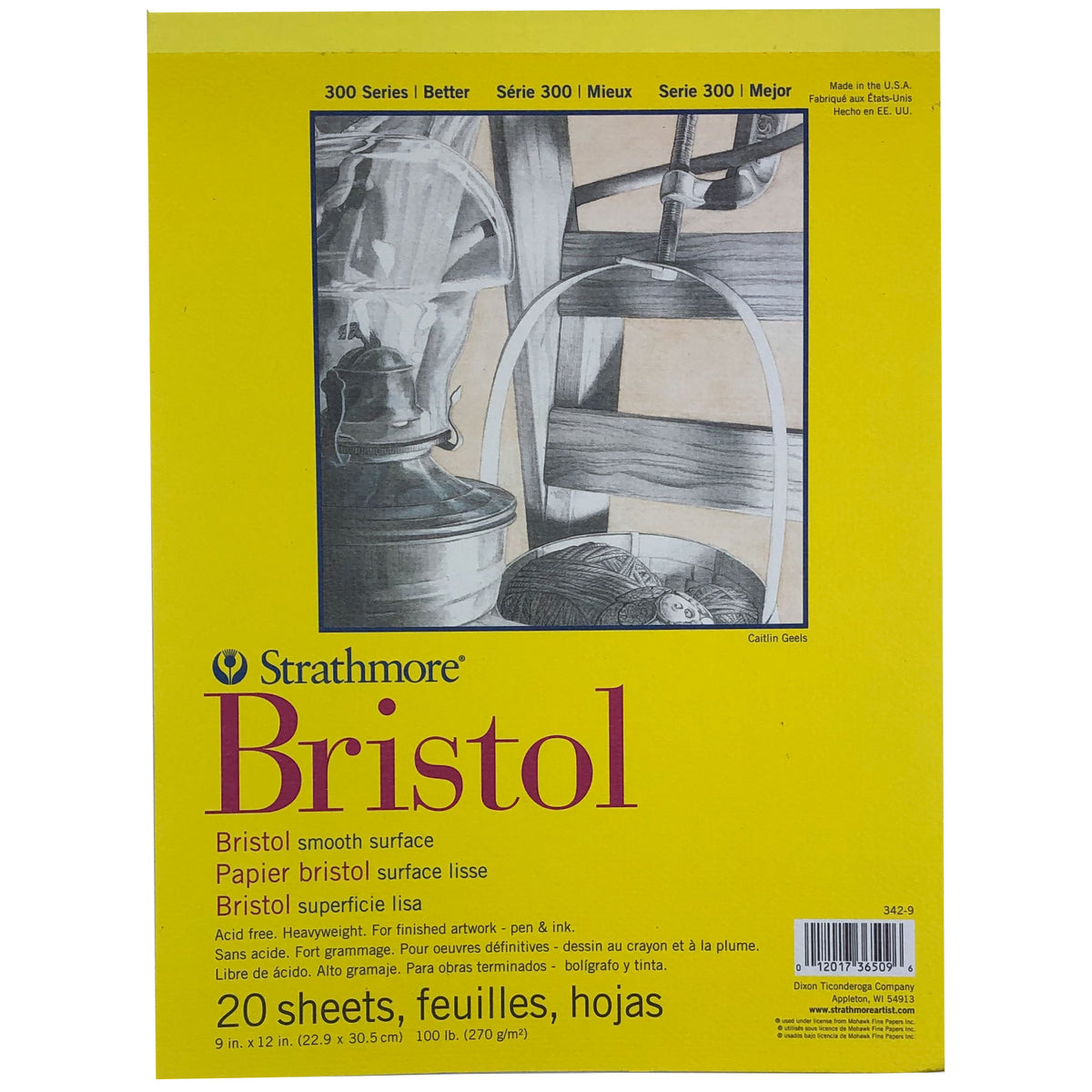 Strathmore Bristol Board: 20 Pages, 270 gsm (100lb), Paperback