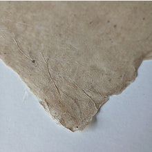 Load image into Gallery viewer, Nepalese Lokta Washi Paper | 31 x 21 inch | 30 gsm | Pack Of 5