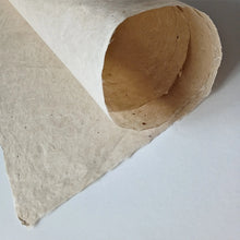 Load image into Gallery viewer, Nepalese Lokta Washi Paper | 31 x 21 inch | 30 gsm | Pack Of 5