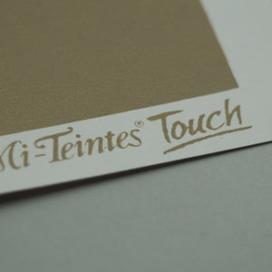 Canson Mi-Teintes Touch Pastel Paper