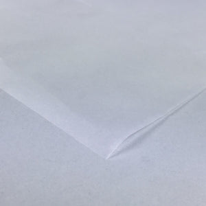 Hahnemühle Translucent Sketching Paper Roll