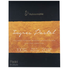 Load image into Gallery viewer, Hahnemühle Ingres Pastel Pad